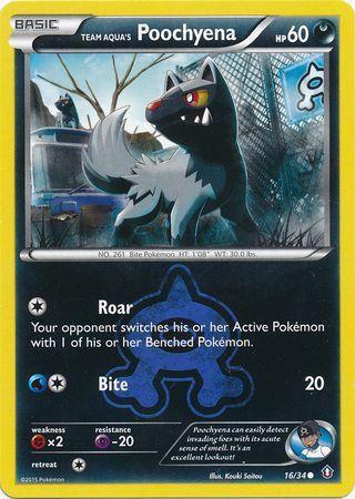 Team Aqua’s Poochyena – 16/34 – Common
