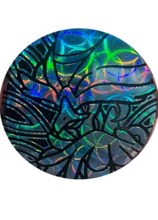 Moneda Pokemon Grande Quaquavil
