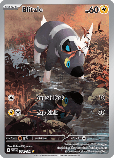 Blitzle - 114/086 - Art Rare